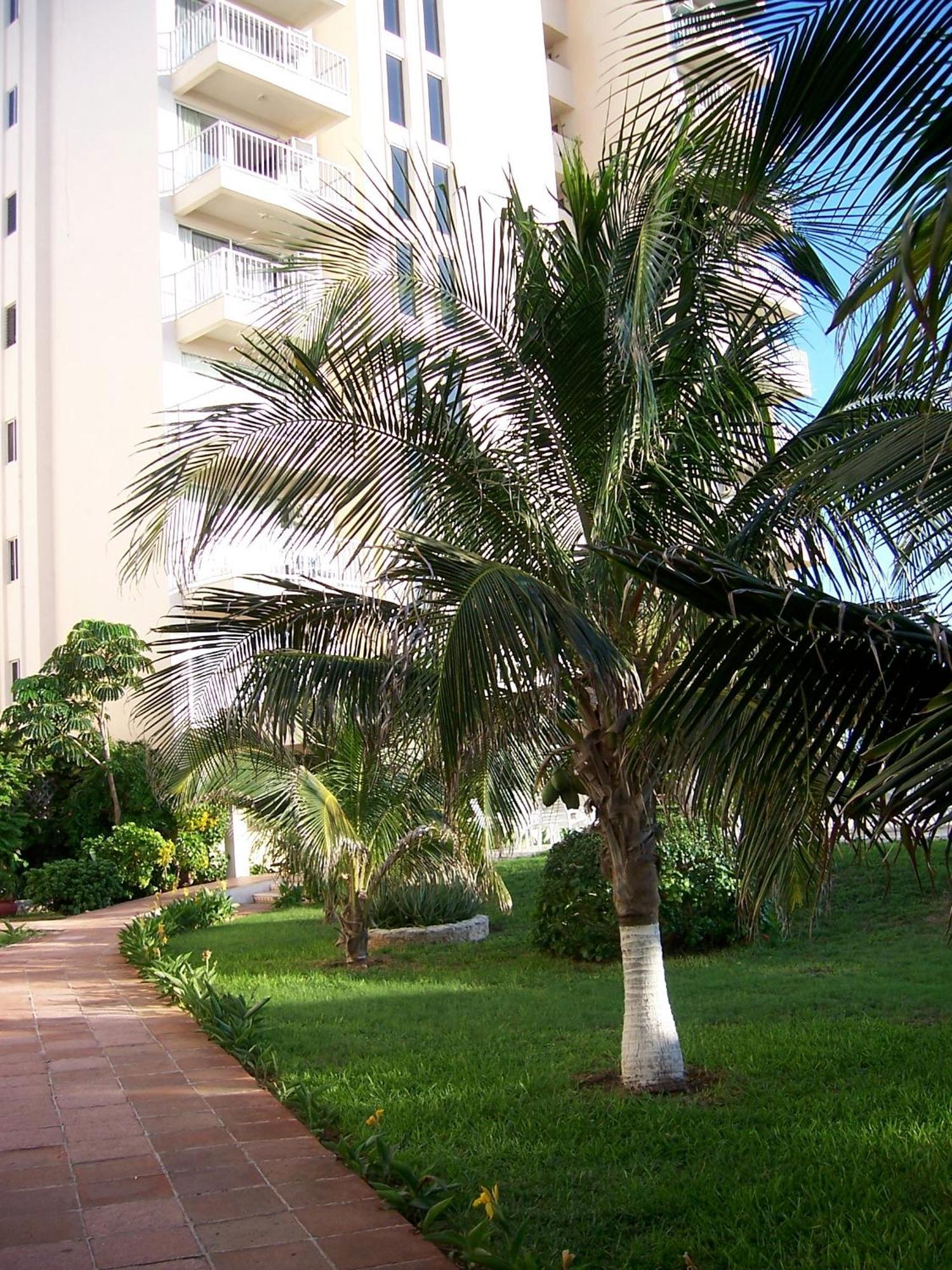 Salvia Cancun Aparts Экстерьер фото
